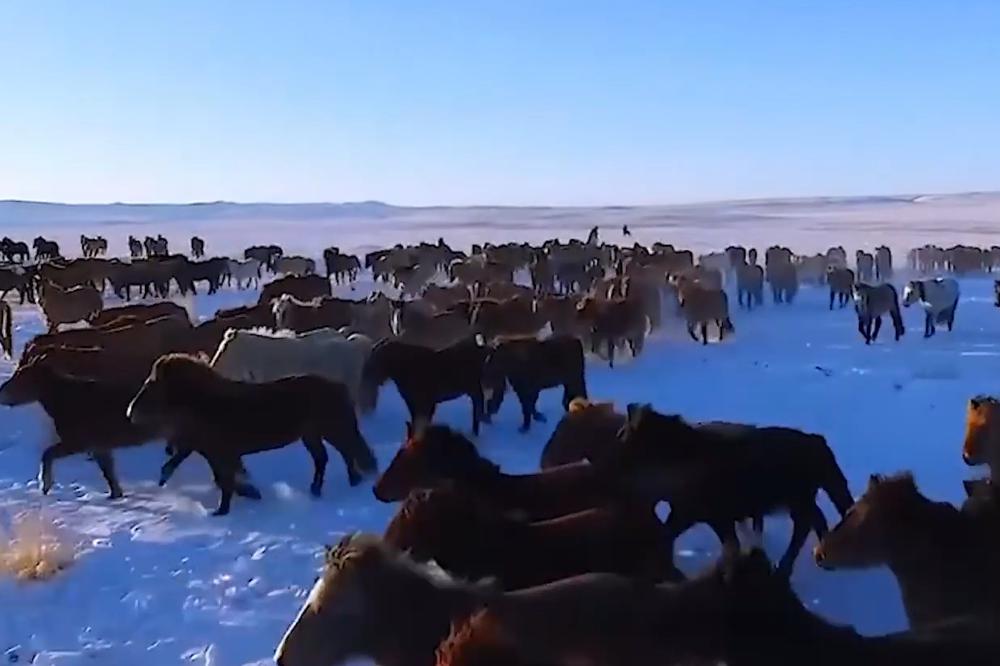 XVII жарны "Буян үйлдэгч” хэмээх усан бар жилийн сар шинийн мэндийг өргөн дэвшүүлж, элгээрээ энх амгалан, төрлөөрөө түвшин амгалан байхын өлзийтэй eрөөлийг өргөн дэвшүүльe! Сар шинэдээ сайхан шинэлээрэй.