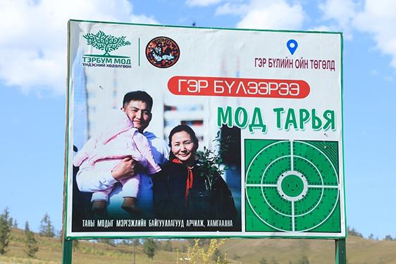 “Гэр бүлийн цэцэрлэгт хүрээлэн”-д тарьсан модны 95 хувь нь ургасан байна