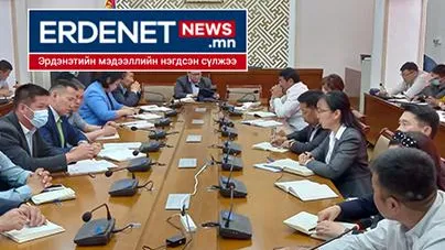 Түлээ түлшний 800 сая төгрөг “хаана явна вэ”, өвөл болохгүй юм уу