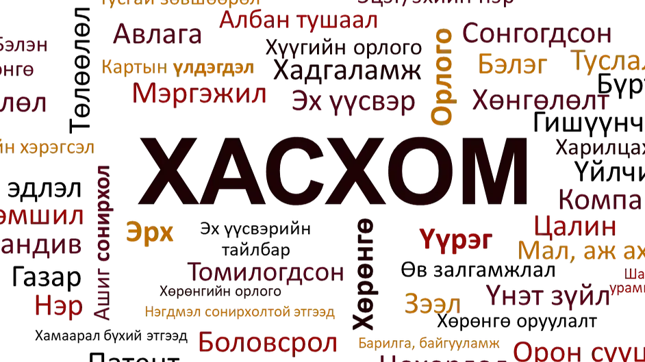 Улсын хэмжээнд 2023 оны ХАСХОМ гаргах явц 35 хувьтай байна
