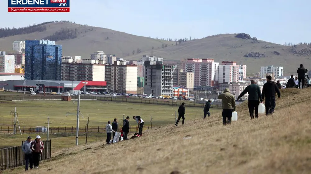 ЭРДЭНЭТЧҮҮД ЭНЭ ХАВАР 15944 МОД ТАРЬЛАА