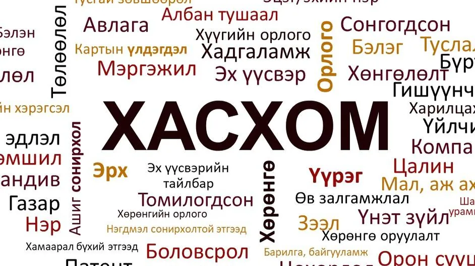 Шинэ маягтаар ХАСХОМ гаргаж эхэллээ